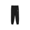ESS RELAXED PANTS Casual Pants Men's Black 683481-01