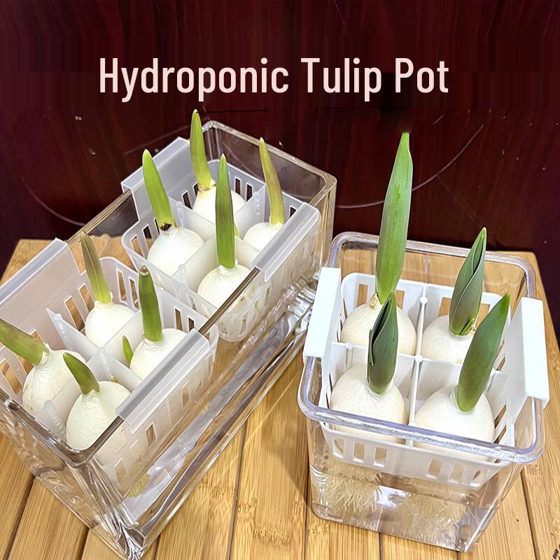 Acrylic Hydroponic Pot with Planting Basket