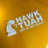 Funny Hawk Tuah Spit On That Thang Stickers Waterproof Car Prank Sticker  Car Accessories