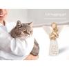 Angel of Friendship Pet Memorials Gift Cats Dog Remembrances Angel Figurines Loss of Pet Sympathy Gift Table Ornament