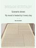 Japanese Minimalist Non-Slip Silk Doormat - Geometric Lines, Dirt & Wear Resistant, Cuttable Foot Pad