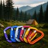 D-shaped Safety Auto Lock Buckle 12KN Professional Carabiner Hammock Hook  Hiking