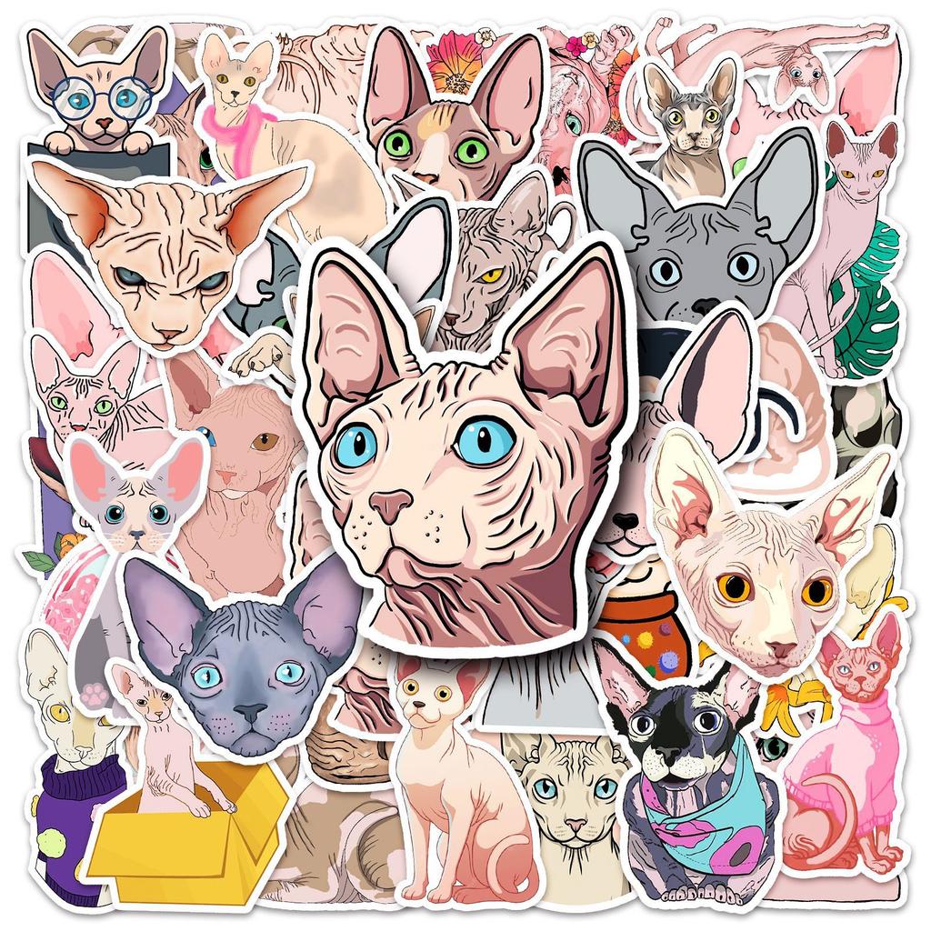 50 Photos of Sphinx Hairless Cat Doodle Cartoon Cat Guka Decorative Water Cup Suitcase Sticker Waterproof