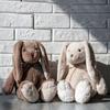 Pet Companion Toys bunny stuffed animal,easter basket essentials,dog toys, throw pillows for couch,home decor, birthday gifts
