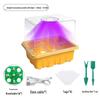 Multi-Color Seedling Box with High/Low Lid & Light for Home Balcony Gardening