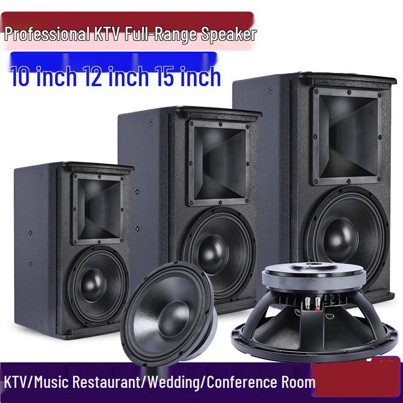 CTRLPA Professional Full-Range Speaker