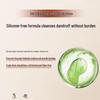 Seeyoung Tea Seed Oil Control Anti-Dandruff Shampoo