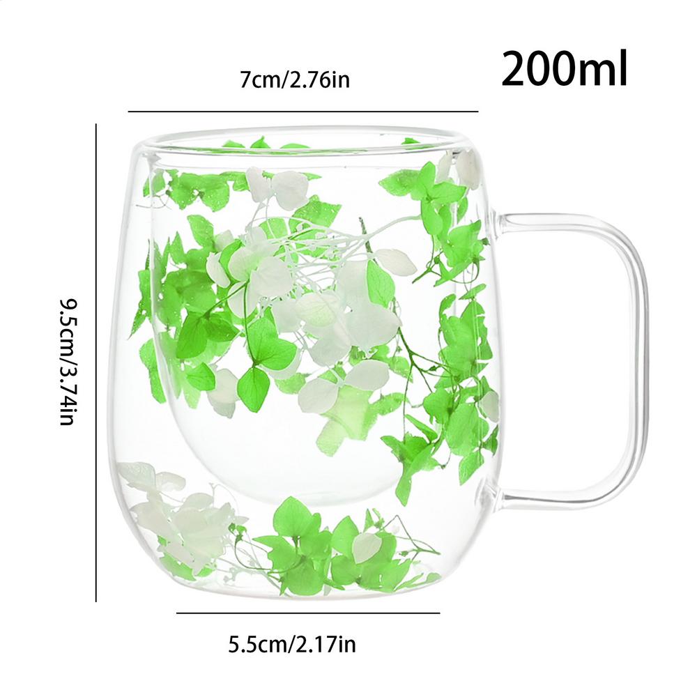 Double Wall Glass Cup 200ml Clear Dried Flowers Milk Tea Coffee Mug with Handle Gifts Friends Home Water Cup Drinking Glasses