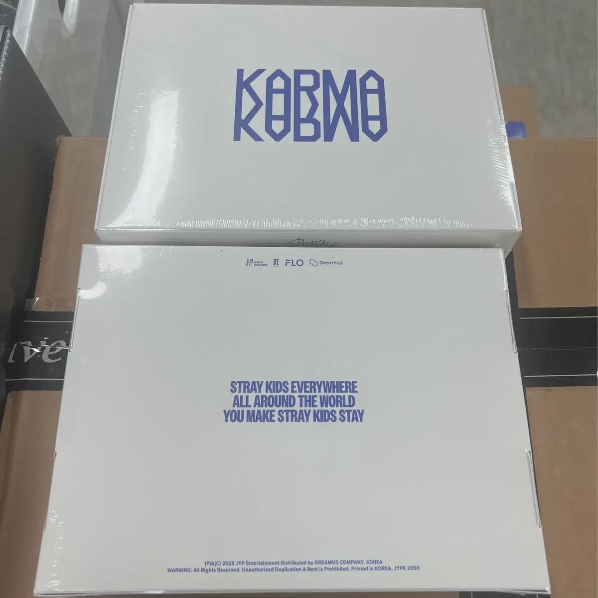 

Straykids Карма 4-й Запечатанный Альбом