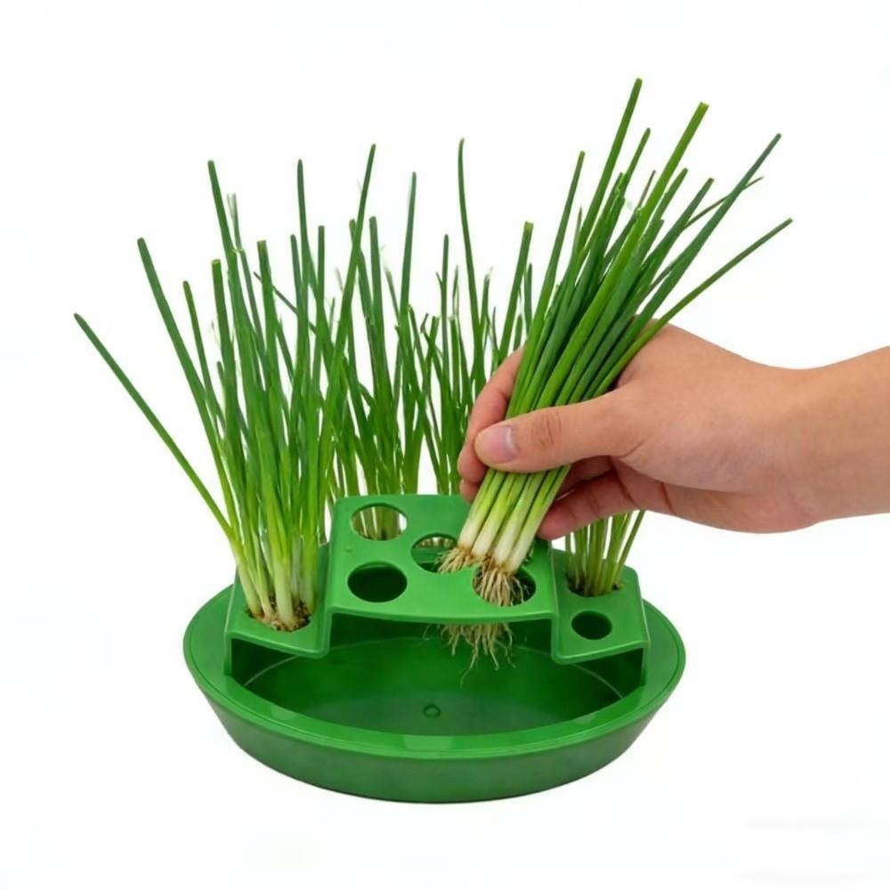 Plastic Chives Seedling Tray 9 Slots Sprout Planting Pot Onion Cultivation Box Celery