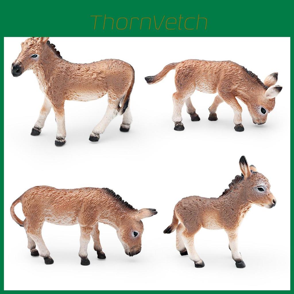 African Mongolian Donkey Pvc Figure Set Nonassembly For Educational Playroom Decor