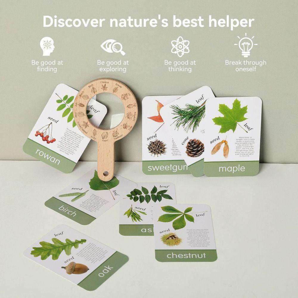 Montessori Magnifying Glass Toys Wooden Plant Cognition Cards  Kindergarten Kids