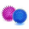 Juguete para Mascotas - Pelota que Hace Sonido para Perros - Duradero y Resistente a Mordeduras - Juguete para Perros Pequeños - No Fácil de Masticar y Romper