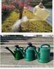Large Capacity Long Spout Plastic Watering Can with Spray Function - 3L To 12L