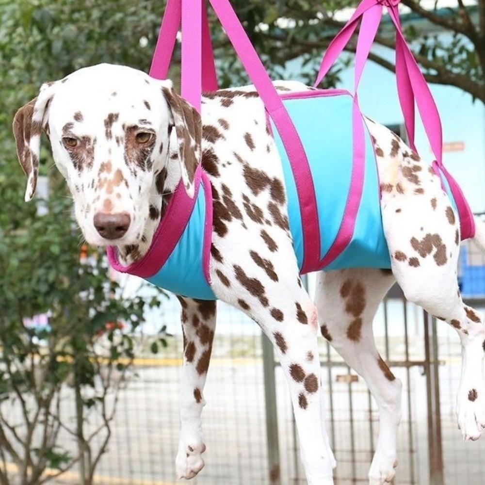 Hanging Pet Nail Trimming Hammock Breathable Dog Restraint Bag Bathing Assistance