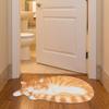 Wear Resistant Design Simulation Cat Floor Mat  Living Room Tea Table Bedside