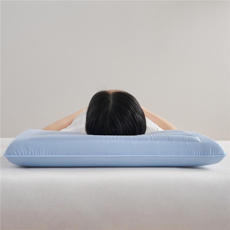 Memory Foam Buckwheat Pillow Neck Support Sleep Aid Low Profile Single Bed With Cotton Cover