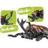 Takara Tomy Ania AS-37 Beetle Insect Toy for Ages 3 and Up