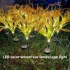 Solar Powered Autumn Harvest Wheat Waterproof Outdoor Light for Garden Lawn Courtyard Patio Path Thanksgiving Decor Lighting