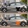 BYD Dolphin Side Body Stickers: Violent Bear Design for Scratch Cover and Decoration