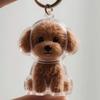Transparent Fur Storage Box For Puppies Cute Animal Fur Ball Storage Pendant Decoration Commemorative Dust Box Gift