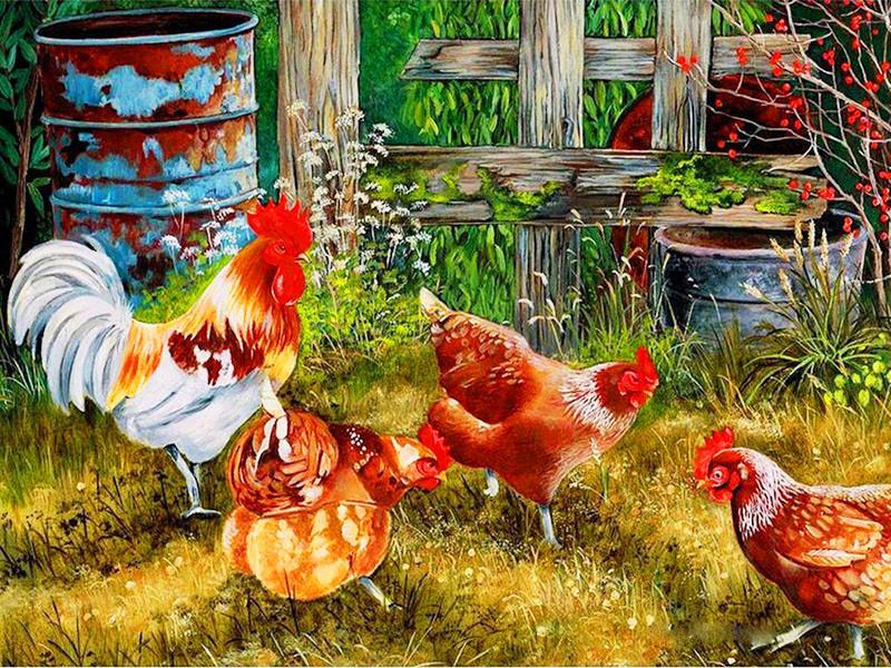 RUOPOTY DIY Painting By Numbers Animal Pictures By Number Chicken Kits Hand Painted Paintings Art Drawing On Canvas Home Decor