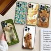 Golden Retriever Dog For Huawei Nova 9 10 SE 3i 7i 8i 11i 12i Y60 Y61 Y70 Y72 Y73 Y90 Y91 P20 P30 P40 Lite Case