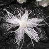 Feather Pearl 3D Organza Flower Patch Twisted Wire Crystal Flower DIY Sewing Decals Hand-made Handmade Studded Patch