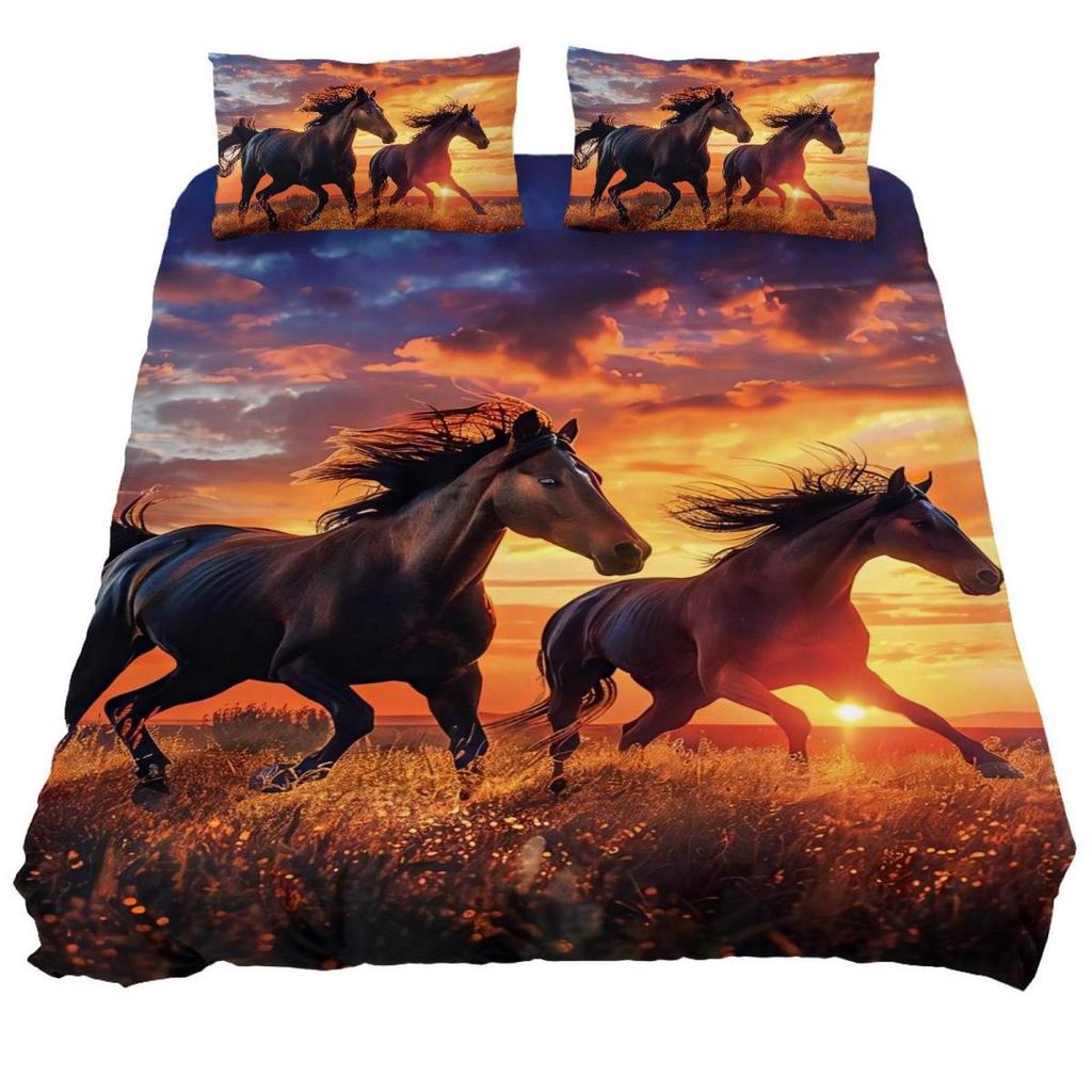 Prairie Duvet Cover Set for Teens Queen Size Quilt Covers Lightweight Down B Room Decor 2 Pillowcases 1 Duvet Cover No Comforter