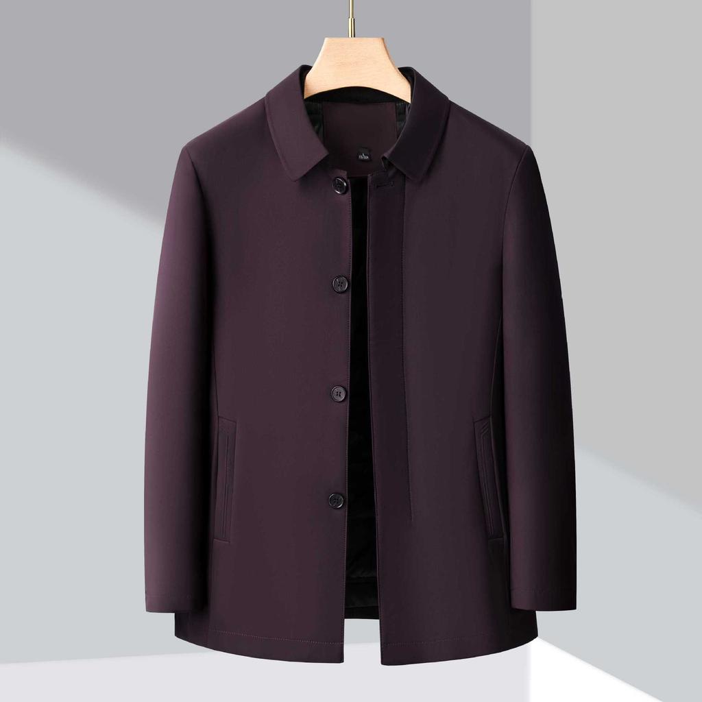 New High-end Men's Down Jacket Thickened Warm Autumn and Winter Jacket Business Casual Middle-aged Dad Outfit