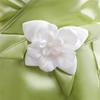 [Dressy Daisy] Toddler Girl Frog Princess Costume Cosplay Dress Set Kids Princess Magic Kiss Fancy Dress Halloween Accessories Included Size 8-10