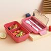 Zhishi tragbare Mikrowellen-Lunchbox