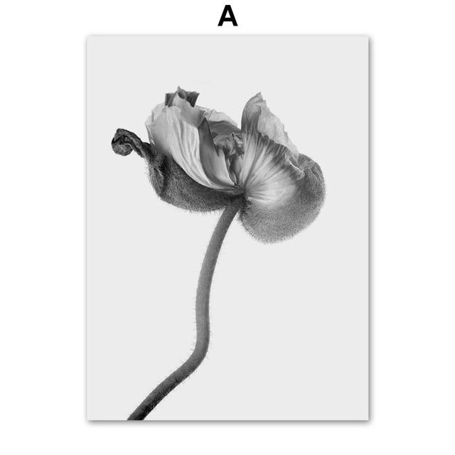 

Цветочный постер, черно-белая настенная живопись на холсте, бутон мака, простой пейзаж, скандинавские принты, фотографии для декора гостиной 21*30cm