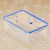Refrigerator Fresh-Keeping Storage Box Kitchen Vegetable And Fruit Food-Grade Timer Storage Box Frozen Egg Dumpling Storage Box