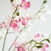 73cm Faux Butterfly Orchid 3 Fork Simulation Flower Real Touch Artificial Orchid Plant  Party
