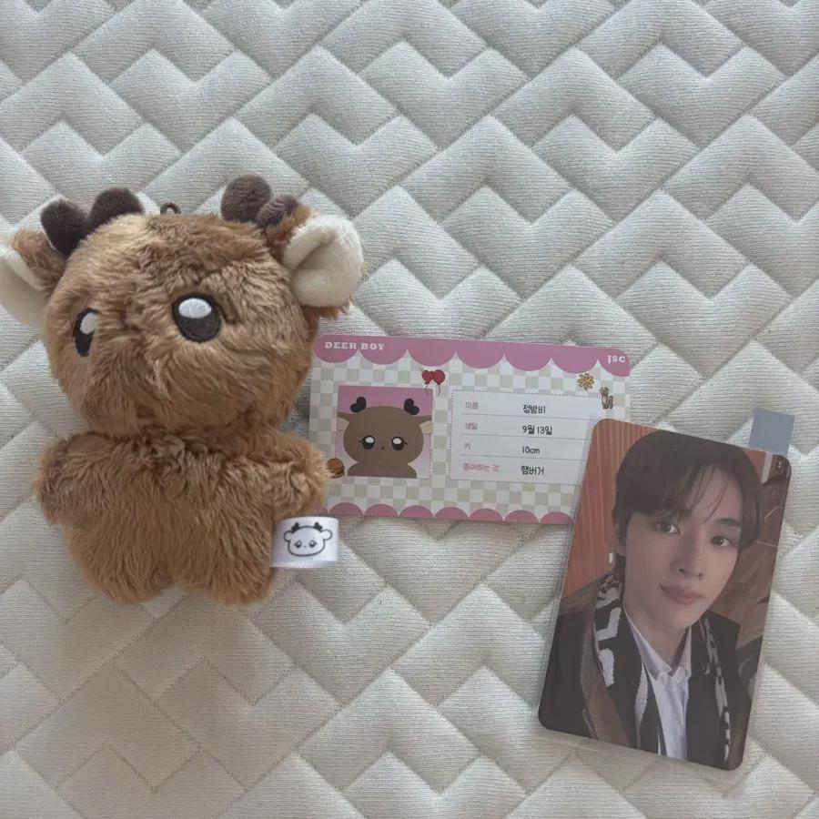 

RIIZE Кукла Сончан Чон Бом-би