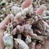 Bamboo flower, bamboo yellow, sulfur-free and heterogeneous powder, Chinese herbal medicine bamboo flower, all kinds of cold back retail hair