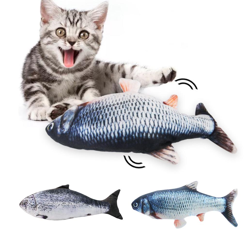 fish kitty