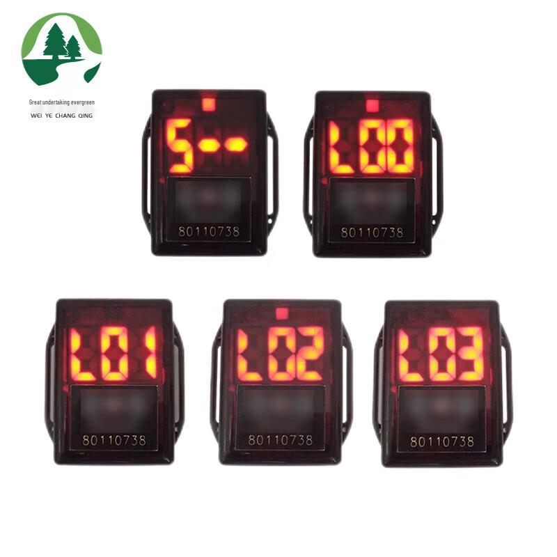 Electronic Timing System