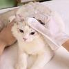 Pet No-Wash Disposable Deodorizing Hair-Removing Wet-Cleaning Bath Gloves No-Rinse Formula for Cats Dogs-6-Piece Pet Supplies