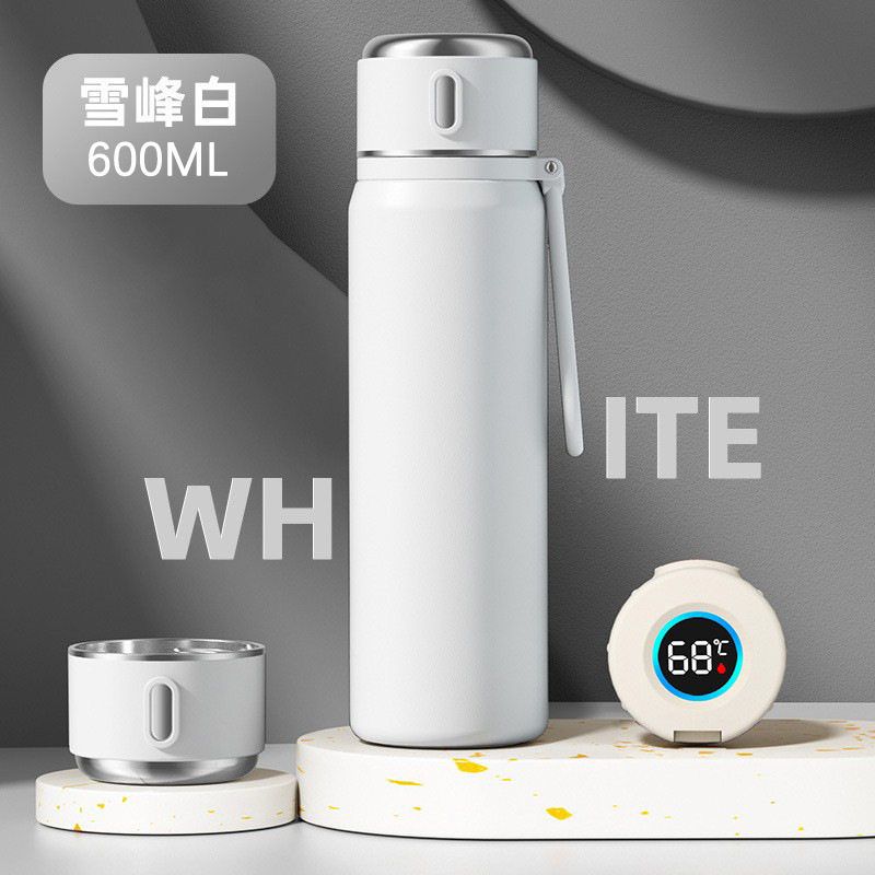 Large-Capacity Thermos Cup for Women, High Aesthetic Value, 2025 New Model, Portable Tea Brewing Cup for Male Students, 316 Stainless Steel Water Cup