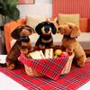 Realistic Dachshund Plush Toy Pillow, Kids Comfort Stuffed Animal, Home Decoration Ornament, Soft Cute