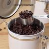 Airtight Stainless Steel Coffee Canister with Spoon