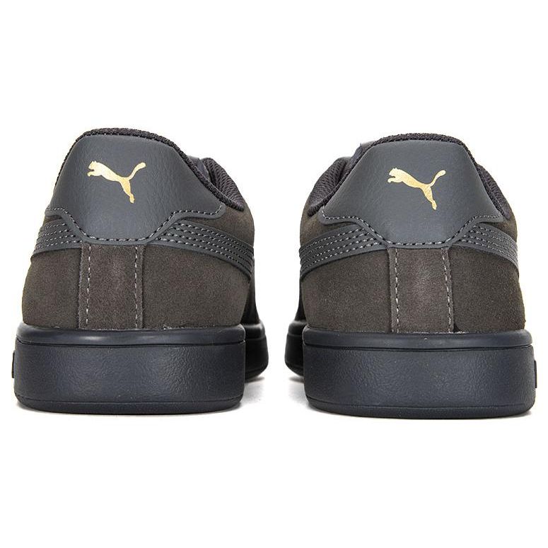 Puma Smash V2 L CN Leather Low-Top Sneakers Unisex Sneakers Gray Gold 391840-01