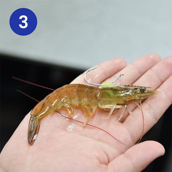 10-Piece Luminous Live Shrimp Fishing Hooks Set