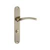 Agra Patina Toilet Door Handle On Long Plate