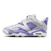 Чоловічі кросівки Air 6 Retro Low Golf NRG US Open Silver Metallic-Silver Action-Grape FD0205-055