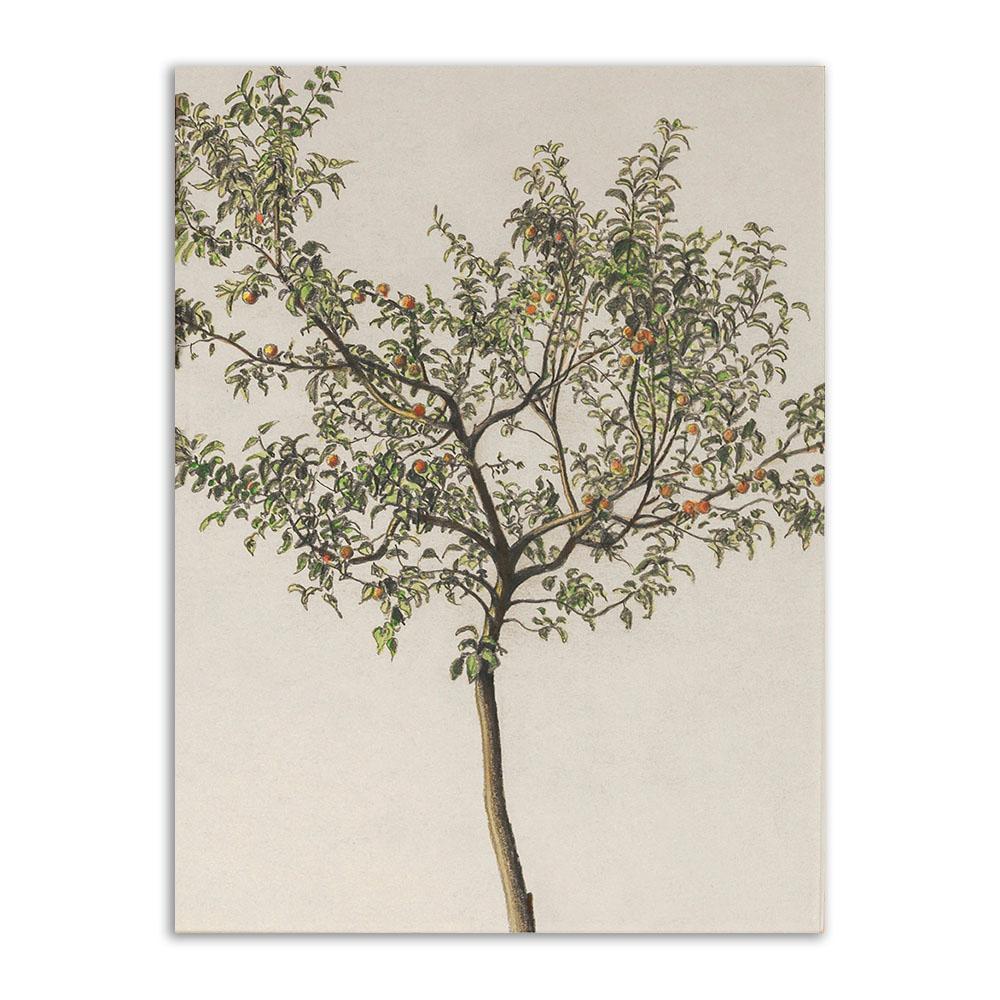 

Винтажный холст, постер и принты, Ретро ботанический тропический цветок, фермерский дом, настенное художественное украшение, домашний декор для гостиной 21x30cm No Frame