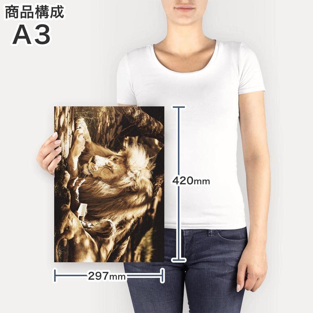 Art 420mm x Wall Wooden Stylish Interior Animal Panel, Painting, Decoration, igsticker, 297mm, A3, Photo, Hanging, Frame, Decor, 023540, Lion, Person,