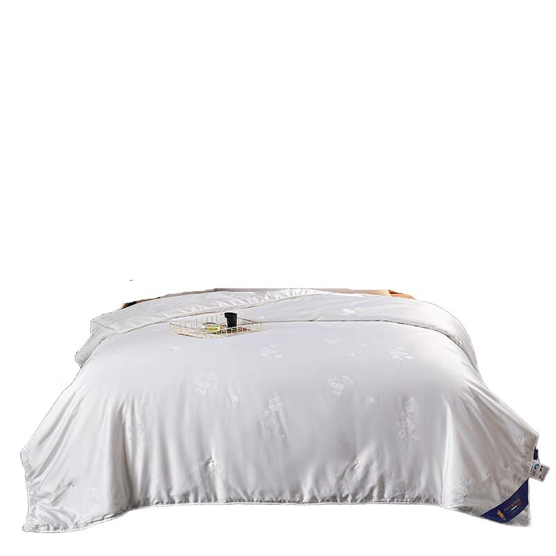 

Paul David Silkworm Ode Washed Cotton All-Season Quilt